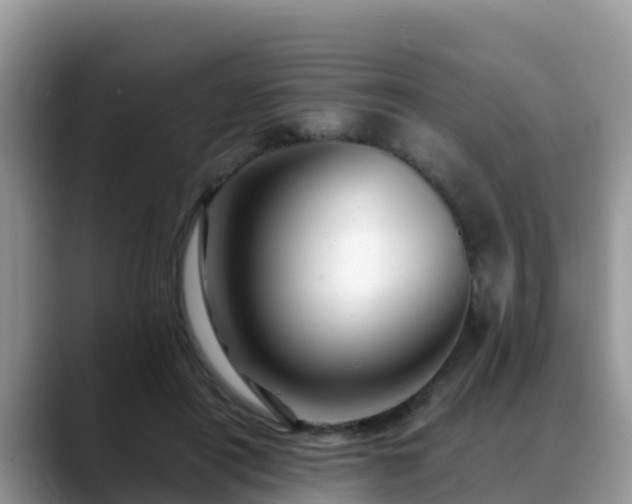 X0000088700454200706071543