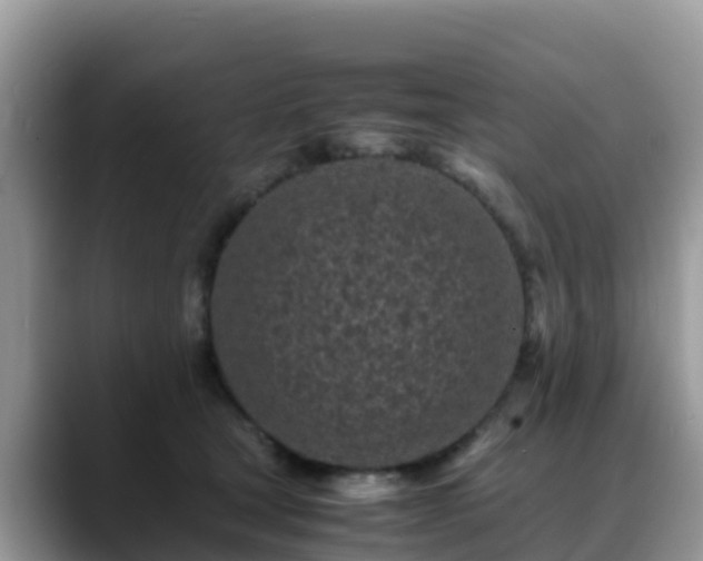 X0000088700465200706071543