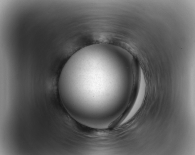 X0000088700466200706071543