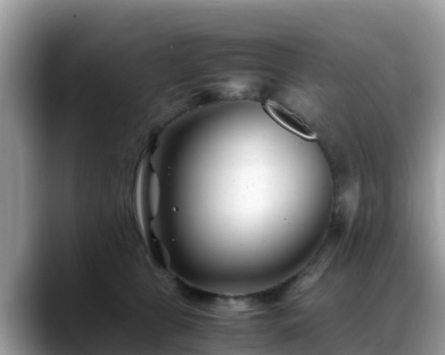 X0000088700469200706071543