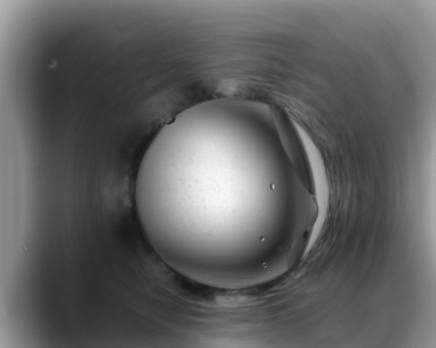 X0000088700470200706071543