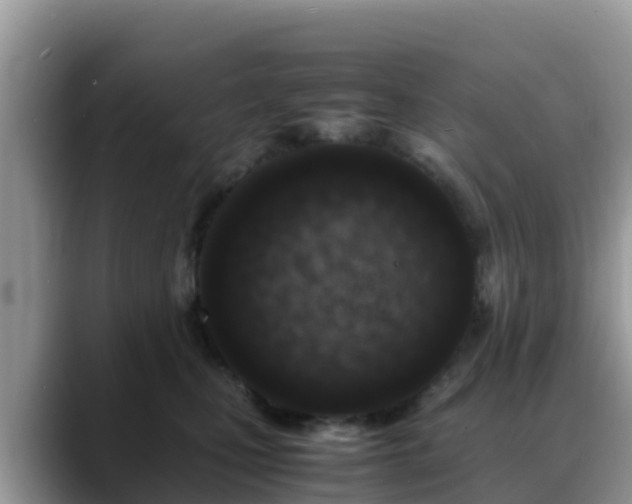 X0000088700471200706071543
