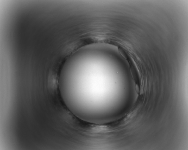 X0000088700476200706071543