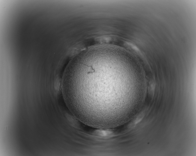 X0000088700477200706071543