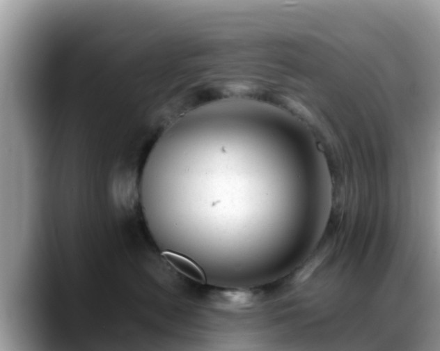 X0000088700478200706071543