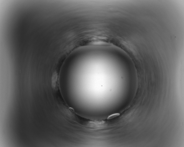X0000088700480200706071543