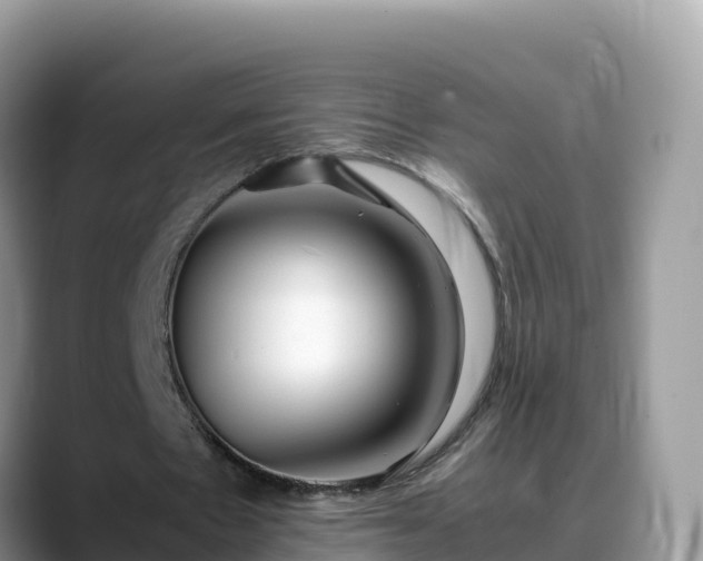 X0000088700481200706071543