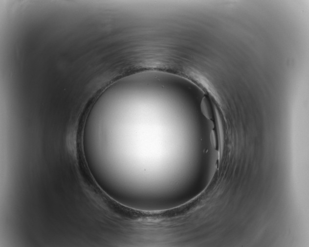 X0000088700482200706071543