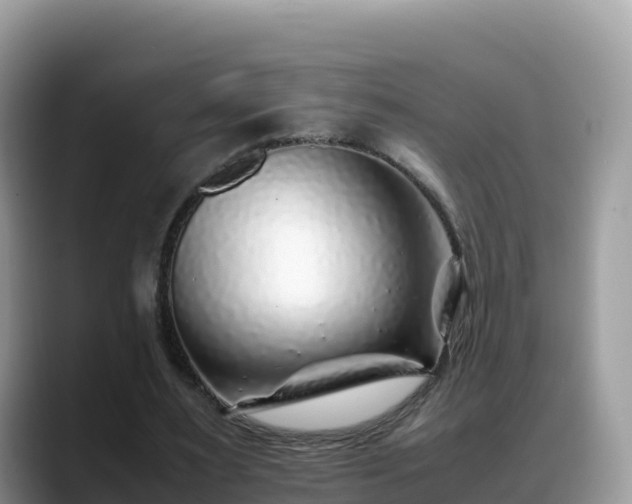 X0000088700483200706071543