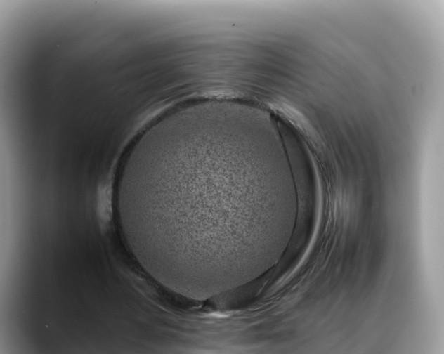 X0000088700484200706071543