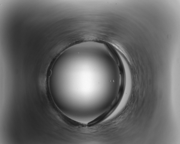 X0000088700485200706071543