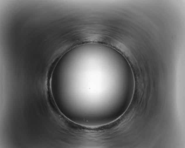 X0000088700486200706071543