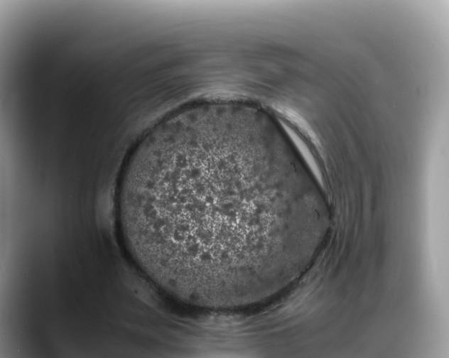 X0000088700487200706071543