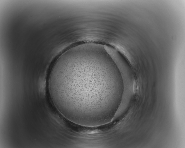 X0000088700488200706071543