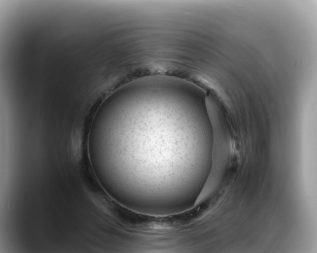 X0000088700496200706071542