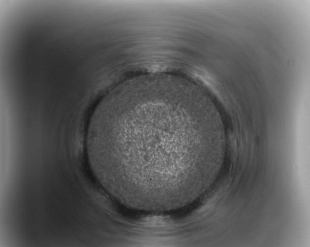 X0000088700499200706071542