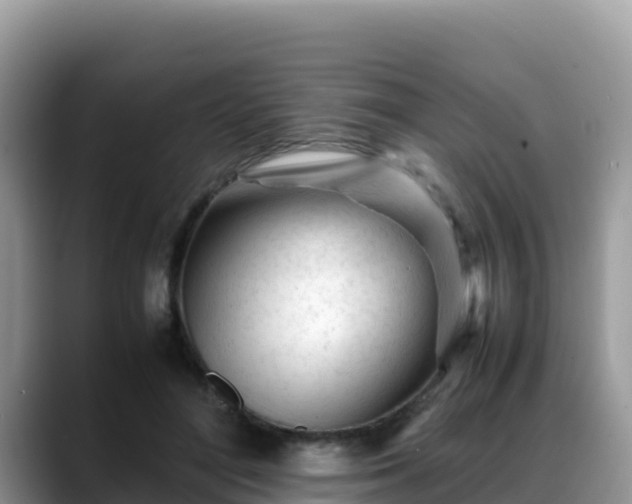 X0000088700500200706071542