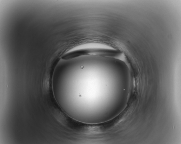 X0000088700501200706071542