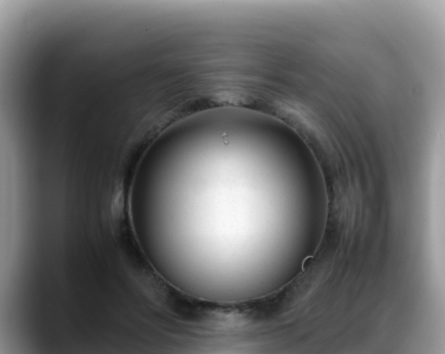 X0000088700502200706071542