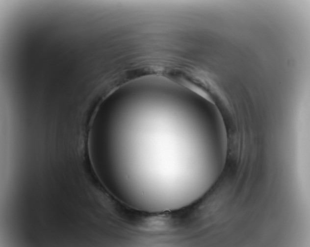 X0000088700505200706071542