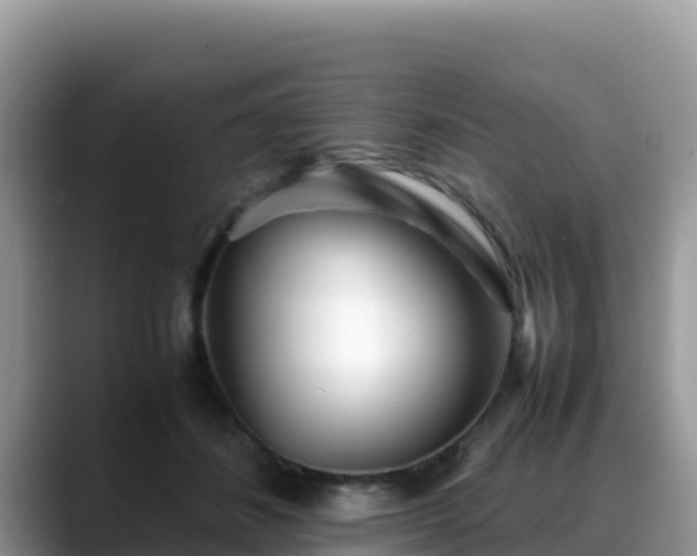 X0000088700508200706071542