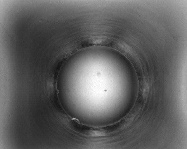 X0000088700510200706071542