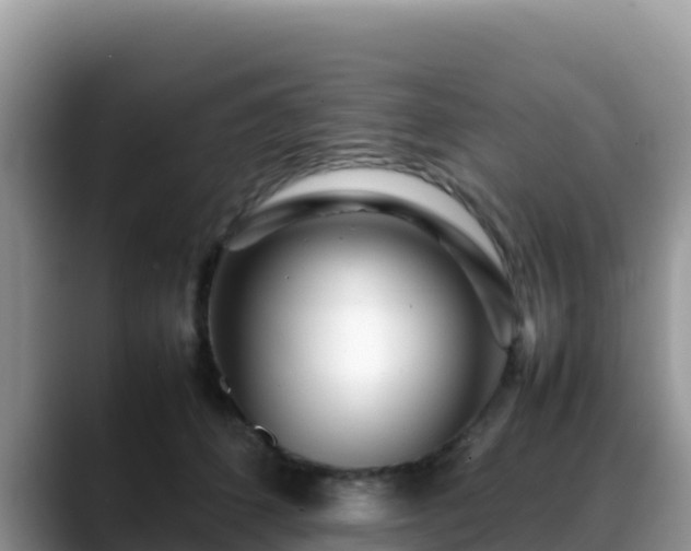 X0000088700512200706071542