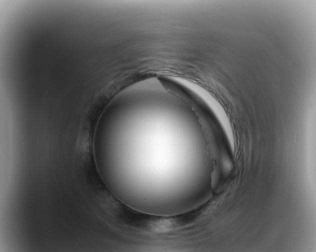 X0000088700513200706071542
