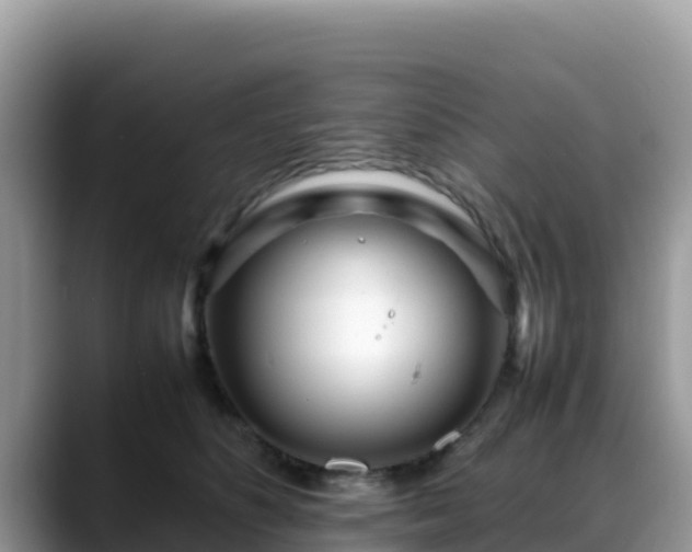 X0000088700516200706071542