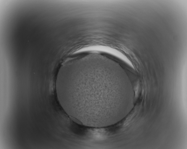 X0000088700517200706071542