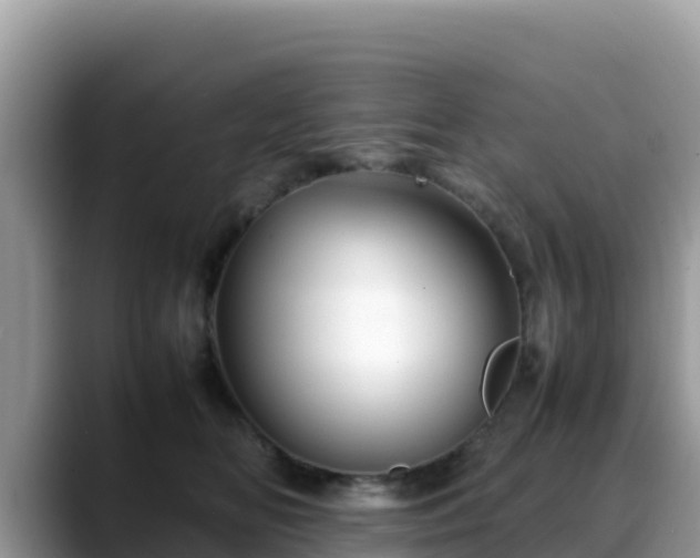 X0000088700518200706071542