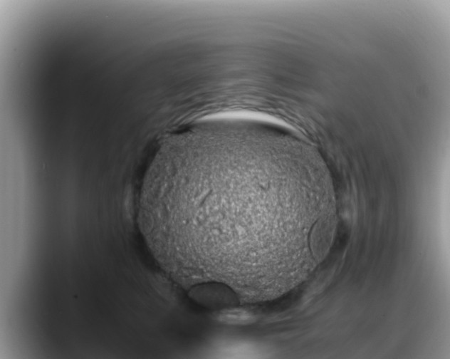 X0000088700519200706071542