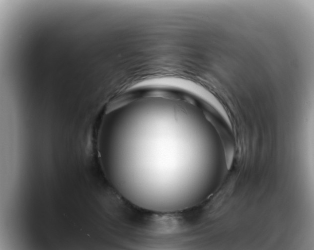 X0000088700520200706071542