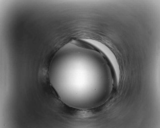 X0000088700521200706071542
