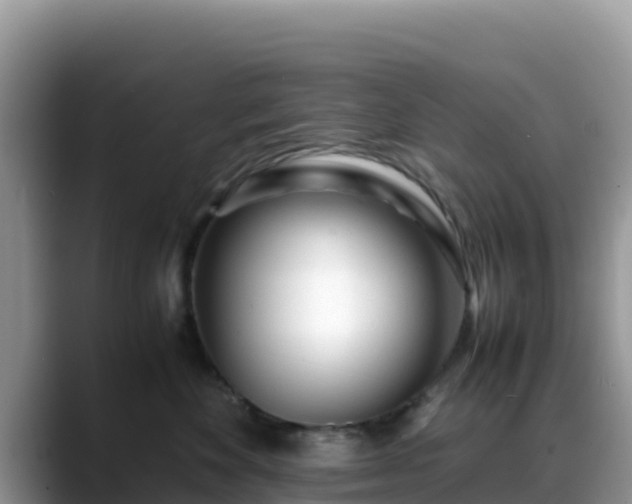 X0000088700524200706071542