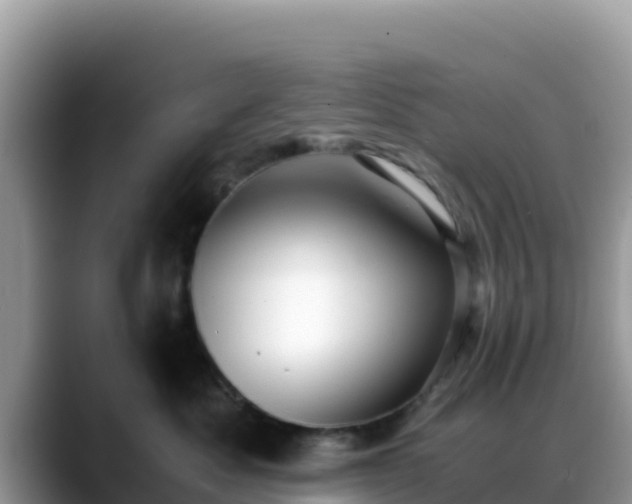 X0000088700525200706071542