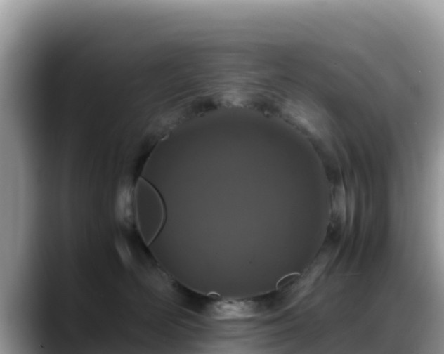 X0000088700526200706071542