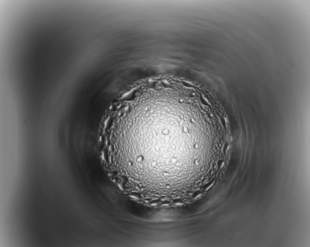 X0000088700527200706071542