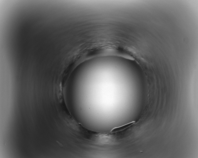 X0000088700528200706071542