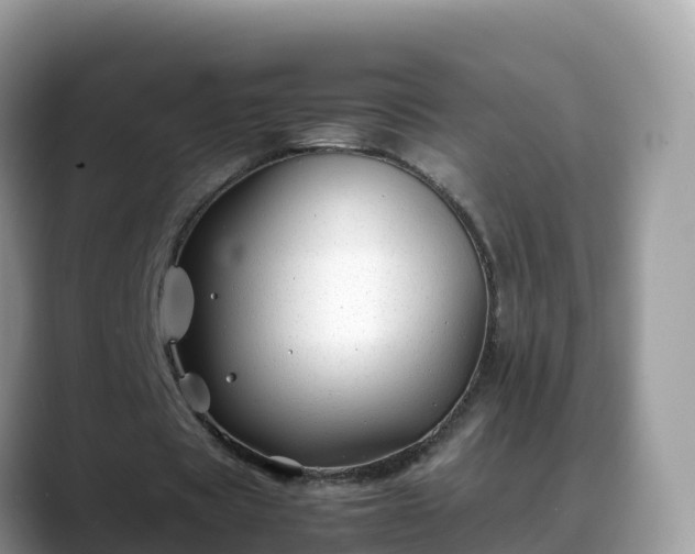 X0000088700529200706071541