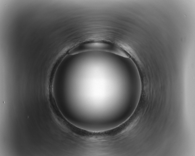 X0000088700530200706071541