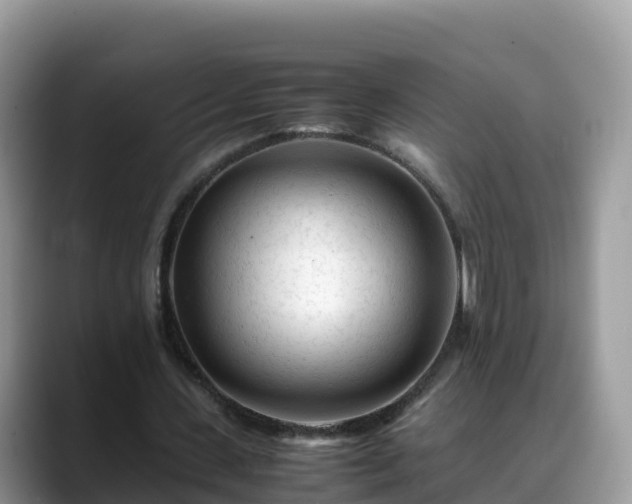 X0000088700531200706071541