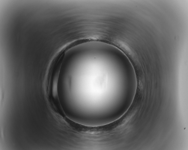 X0000088700532200706071541