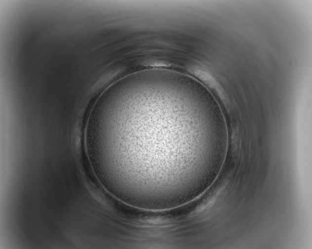 X0000088700533200706071541