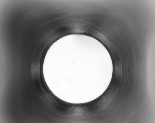 X0000088700534200706071541