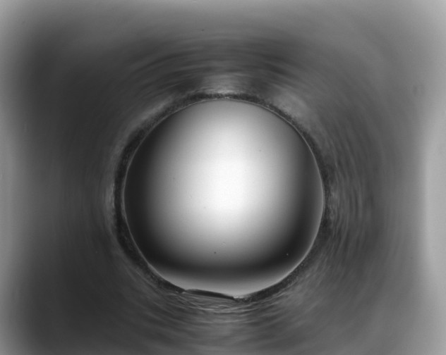 X0000088700535200706071541
