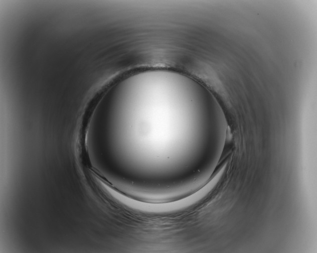 X0000088700536200706071541