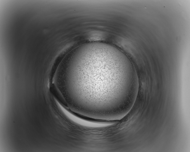 X0000088700539200706071542
