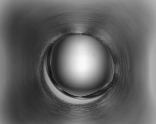 X0000088700540200706071542