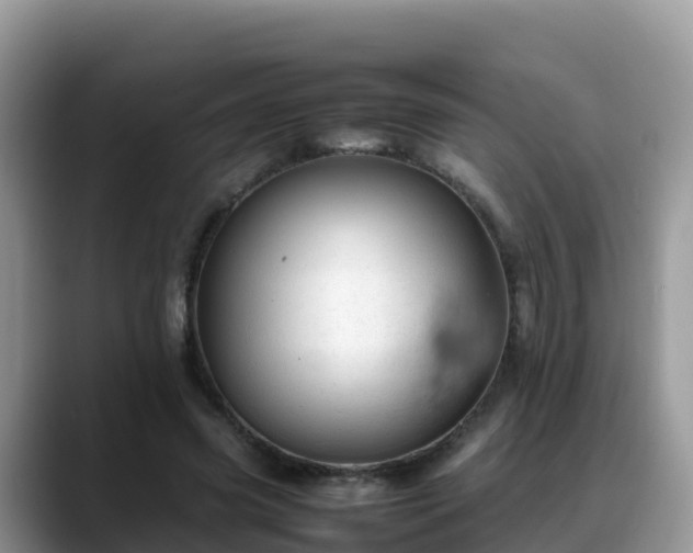 X0000088700541200706071542